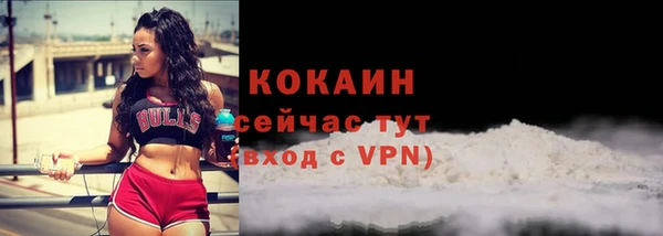 соль ск Кулебаки